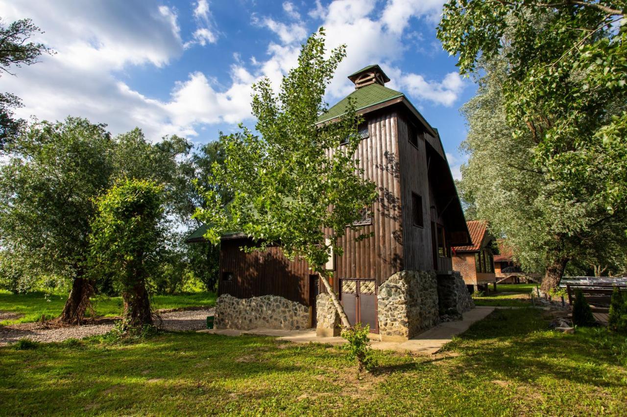 River House Vasa Belgrád Kültér fotó